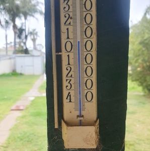 Meet your Posher, Bruce